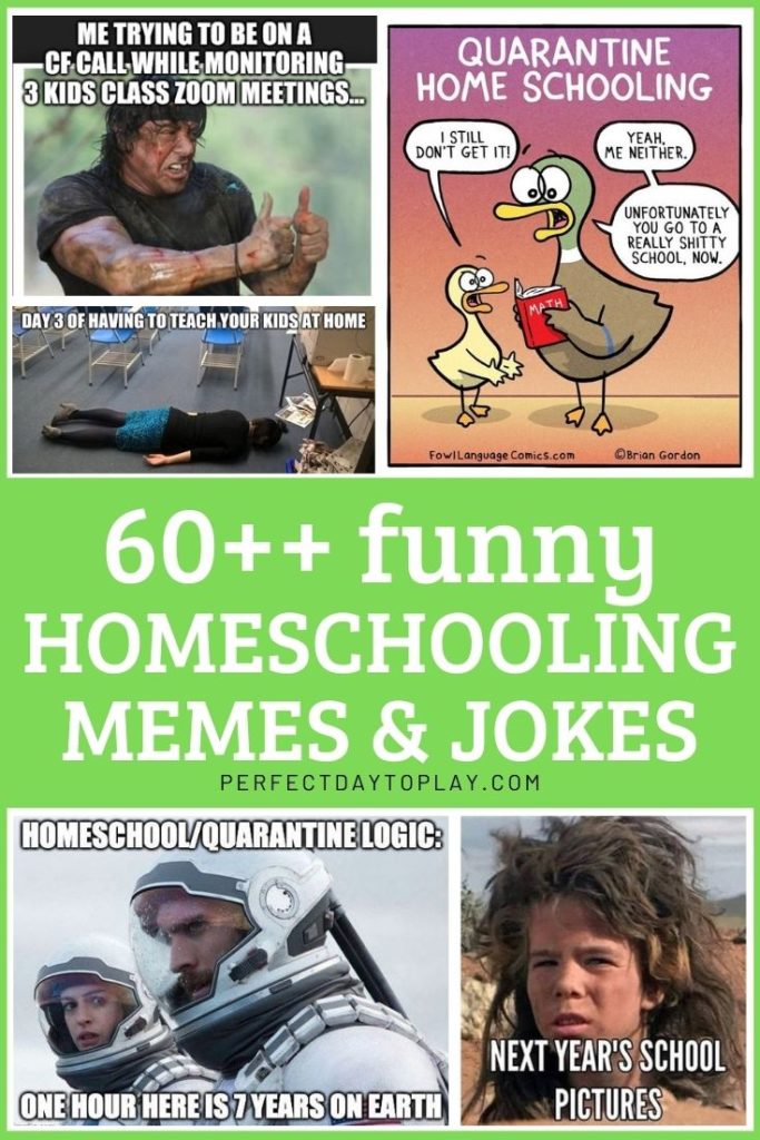 Best collection of absolutely hilarious homeschooling memes, jokes, funny quotes, & cartoons every parent to enjoy when forced to homeschool! pinterest pin
