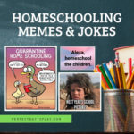 Best collection of absolutely hilarious homeschooling memes, jokes, funny quotes, & cartoons every parent to enjoy when forced to homeschool!