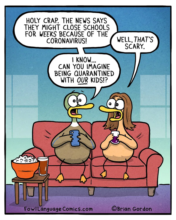 homeschooling ducks are talking cartoon