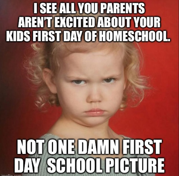 60 Absolutely Hilarious Homeschool Memes Jokes Cartoons For Moms