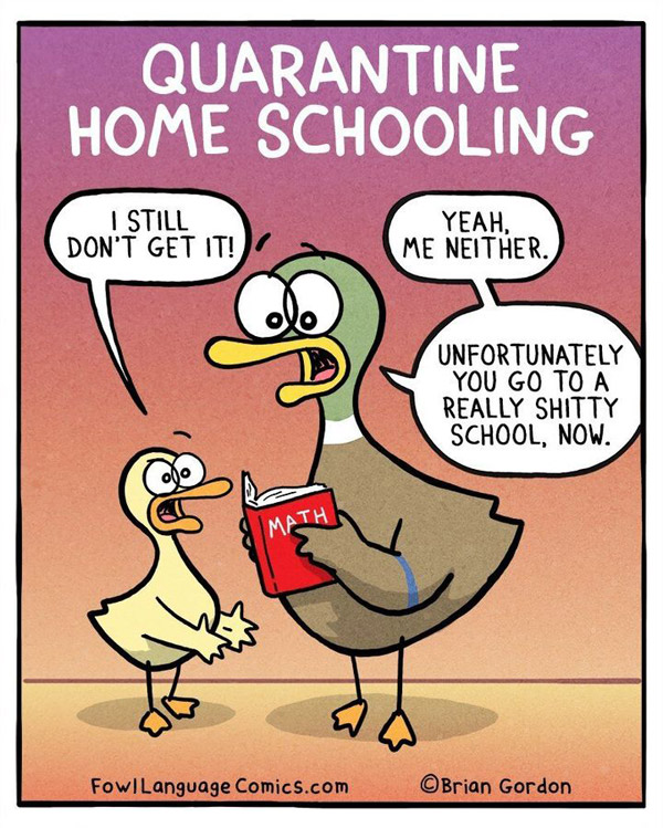 duck jokes about homeschooling funny cartoons