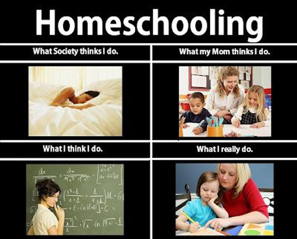 what other people think I do homeschooling joke