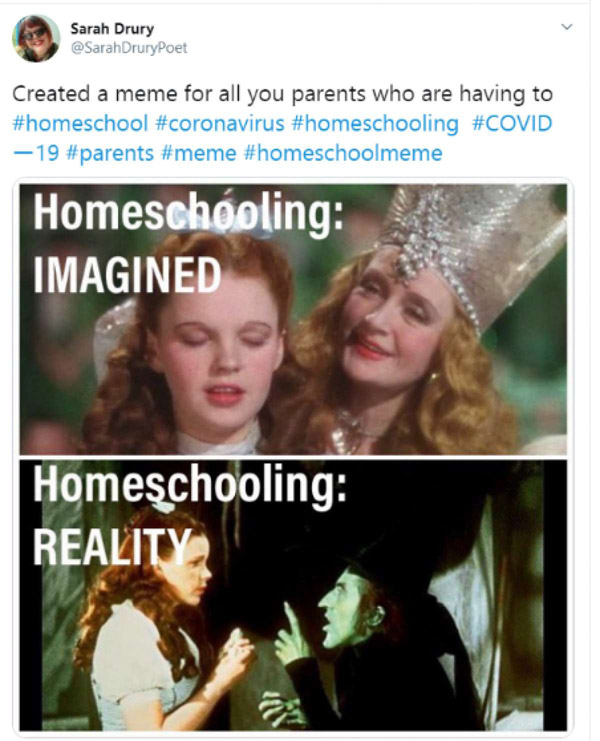 homeschooling imagine vs reality funny meme