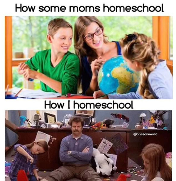 how others homeschool, how I homeschool. funny meme