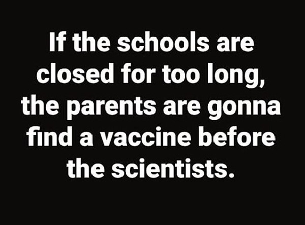 if the schools are closed for too long, the parents are going to find the vaccine before scientists do - funny homeschool quote