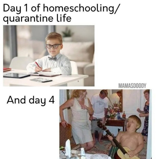 homeschooling during quarantine funny meme day 1 vs day 4