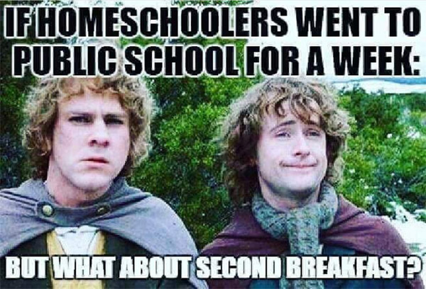 the hobbit homeschooling meme funny