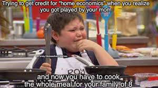 home economics lessons during homeschool funny meme