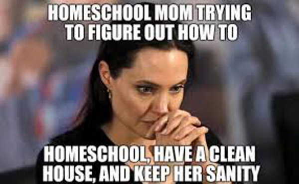 angelina jolie homeschool mom funny meme