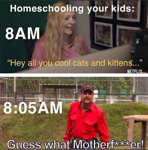 homeschool: start of the day funny meme