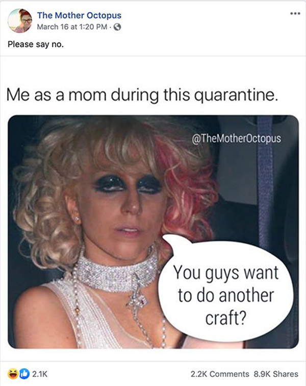 you guys want to do another craft? funny mom meme