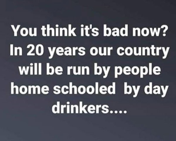 funny homeschooling quote: in 20 years the wold will be ruled by kids homeschooled during coronavirus pandemic