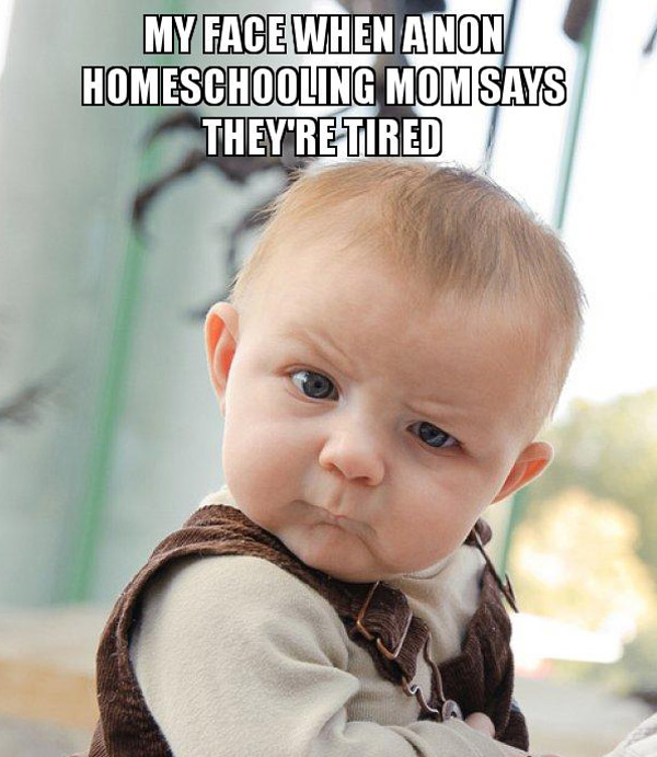 baby meme about homeschooling moms
