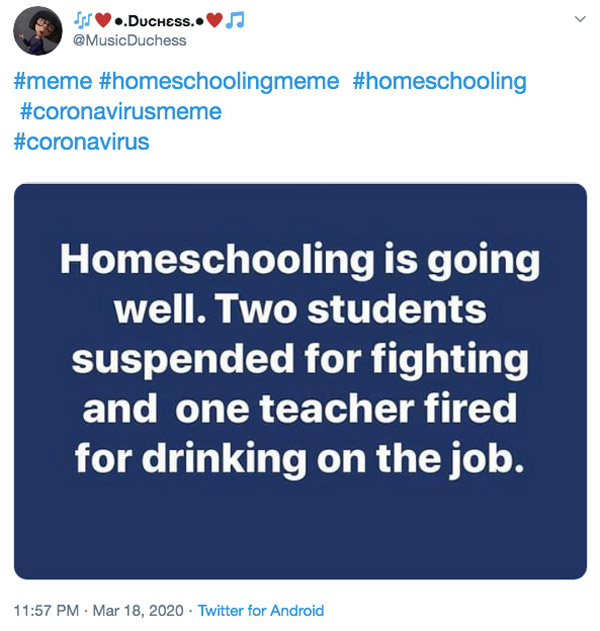 homeschooling is going well funny joke quote