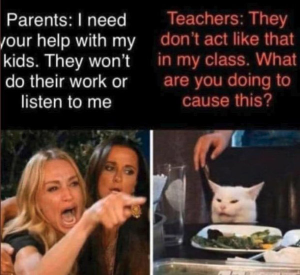 moms vs teachers cat meme