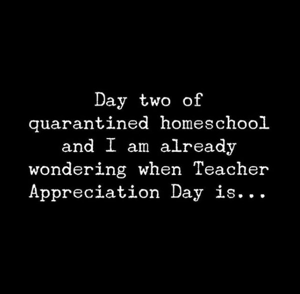 Teacher appreciation day for homeschooling parents hilarious quote