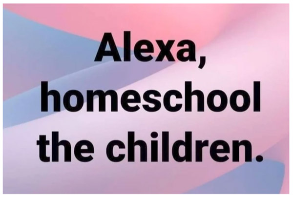 Alexa homeschool the children funny parent quote