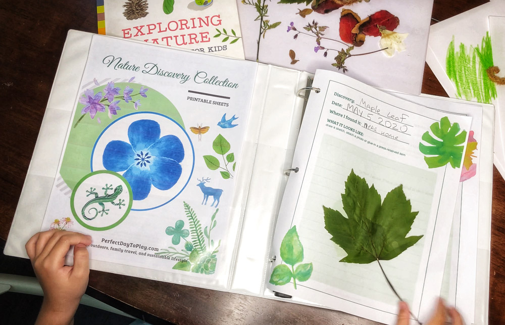 nature discovery collection of printable sheets for outdoor experiments in action by a toddler
