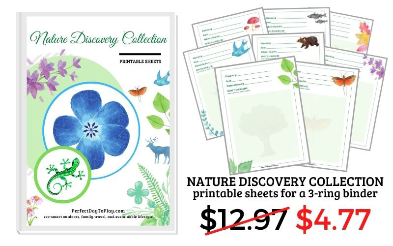 nature discovery collection of printable sheets for kids outdoor experiments sale