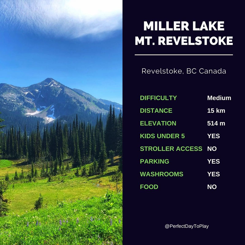 Mt Revelstoke National Park hiking trail to Miller Lake -  quick facts