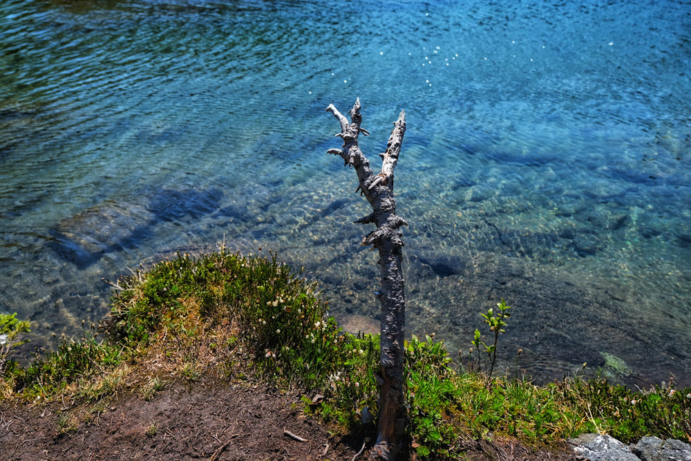 crystal clear blue waters of Miller Lake