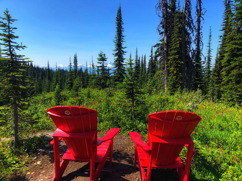 a pair of red Muskoka chairs overlooking wildflowers
