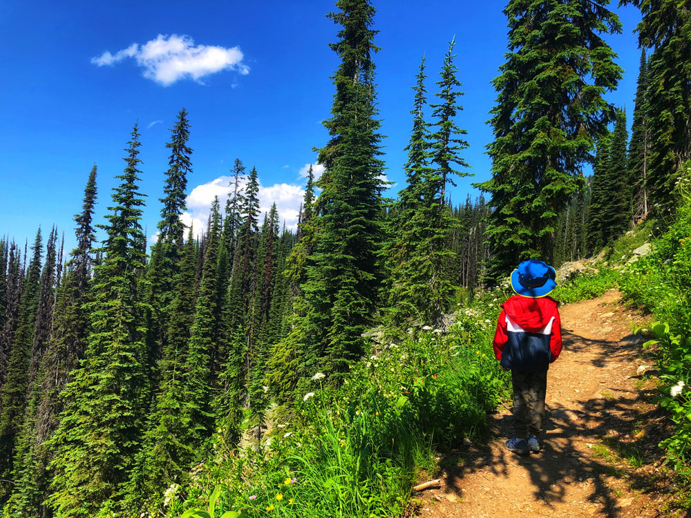 a child hiking beautiful alpine trail of British Columbia, Canada