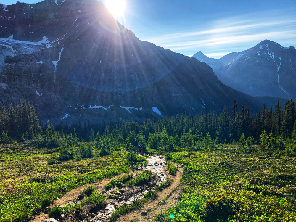 Sunset over Mt Edith Cavell and alpine meadows in Jasper, Alberta Canada