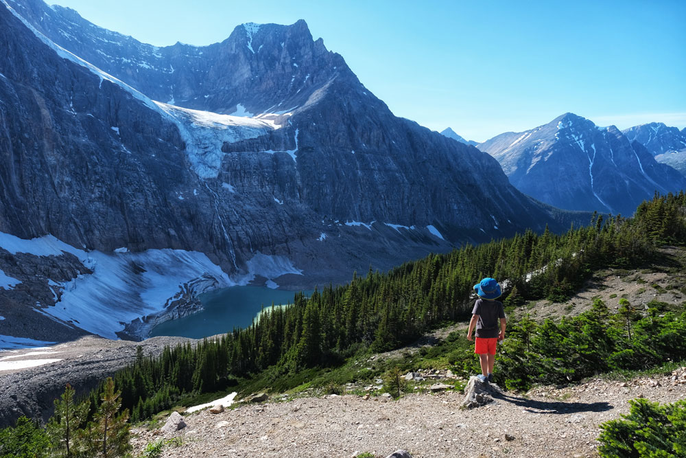 a child looking at the alpine meadows as seen from Mt Edith Cavell in Jasper National Park, Alberta, Canada