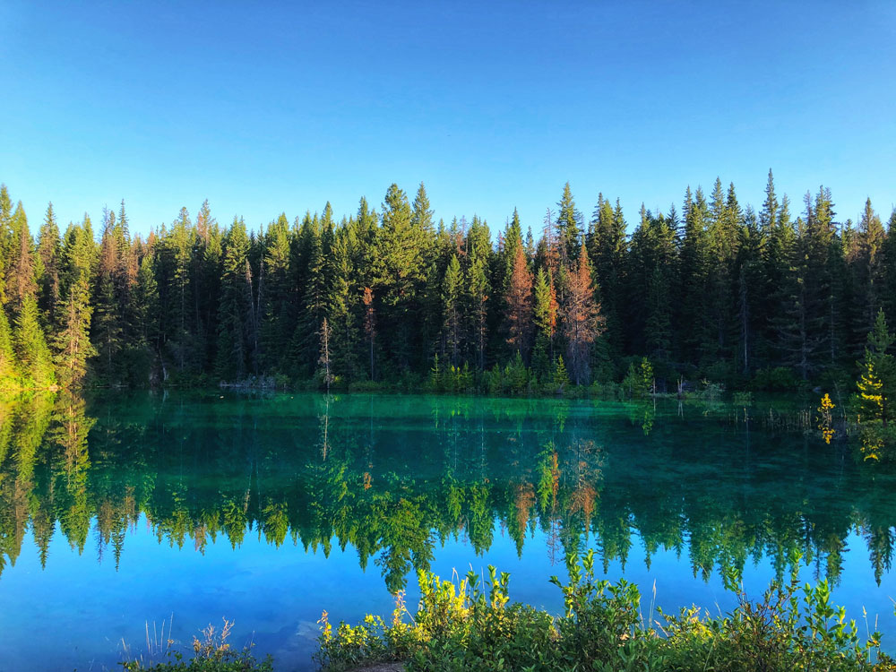 Deep turquoise coloured waters of the Fourth Lake and trees mirroring - the Valley of Five Lakes Jasper