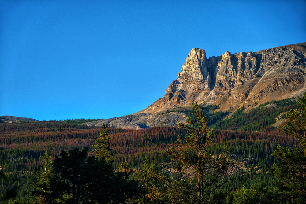 Jasper mountains, Canadian Rockies, Alberta