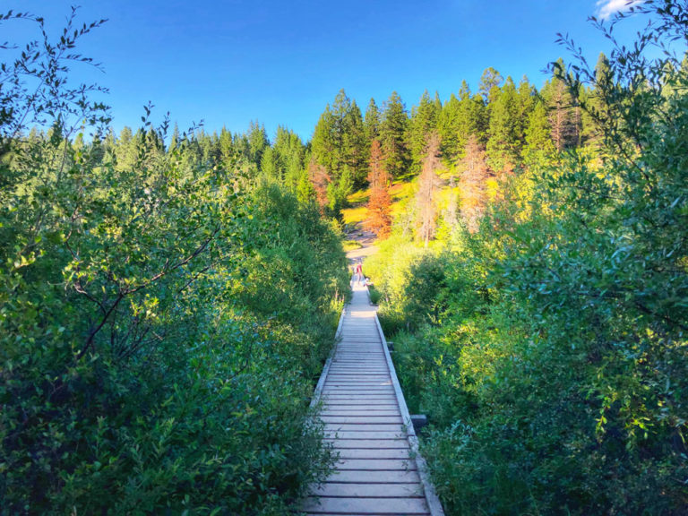 Valley of The Five Lakes incredible trail to hike on Jasper, AB family trip