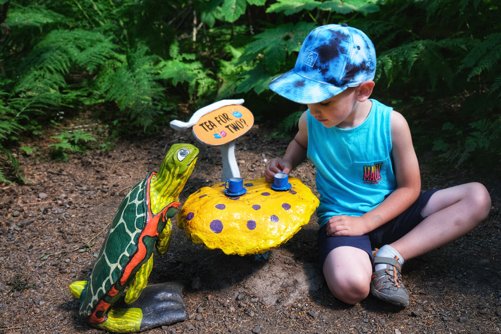 Turtle Tea at Enchanted Forest in Revelstoke outdoor places to visit with toddlers in British Columbia