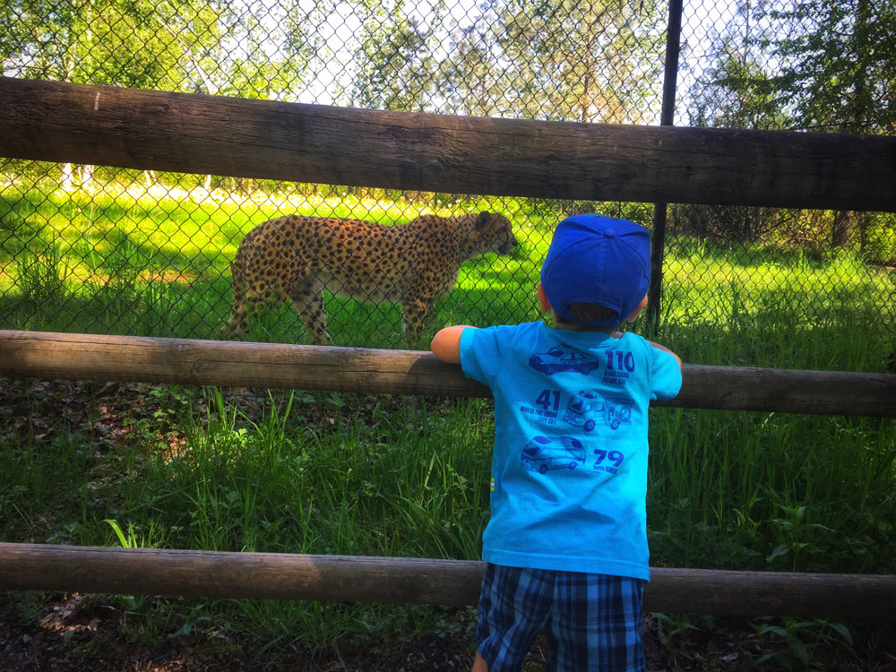 Greater Vancouver Zoo - wildlife outdoor attraction - places to visit with kids in British Columbia