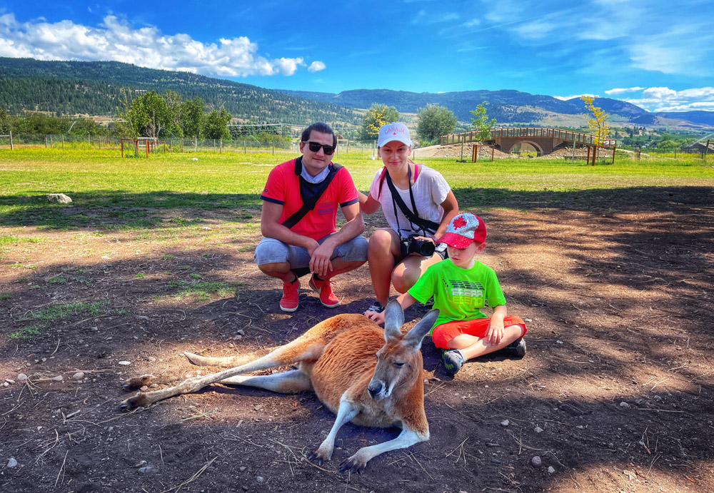 family taking photos of a resting kangaroo at the Kangaroo Creek Farm in Kelowna