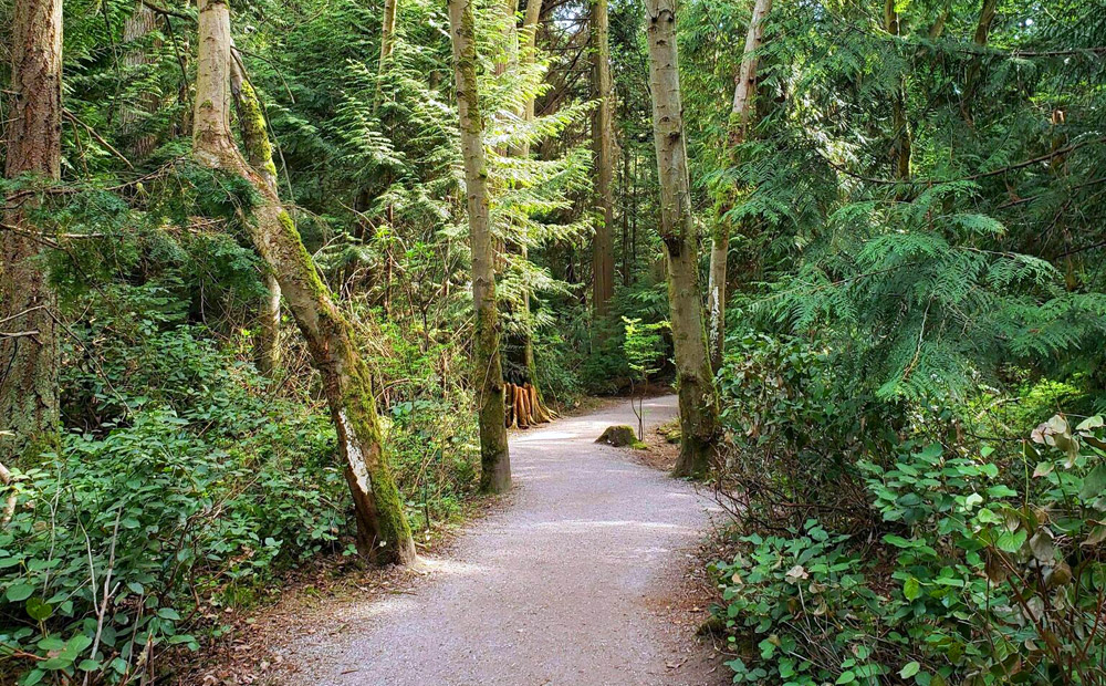 Pacific spirit park in Vancouver accessible trails