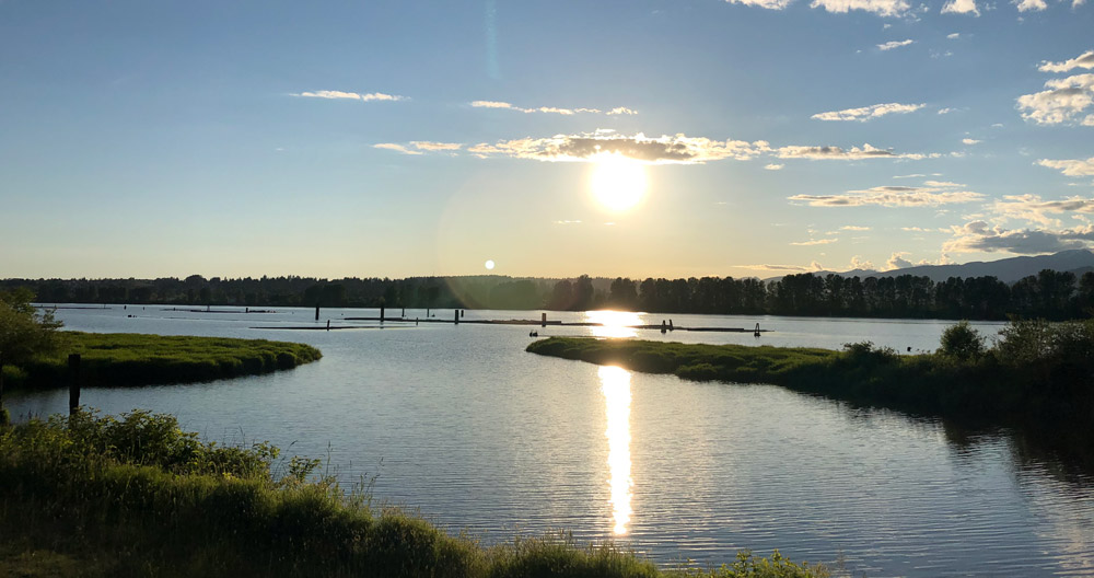 Pitt Lake Pitt Meadows shoreline greenway at sunset