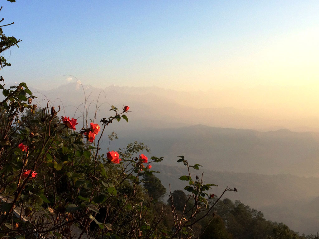 red roses and sunrise over Himalayan mountains