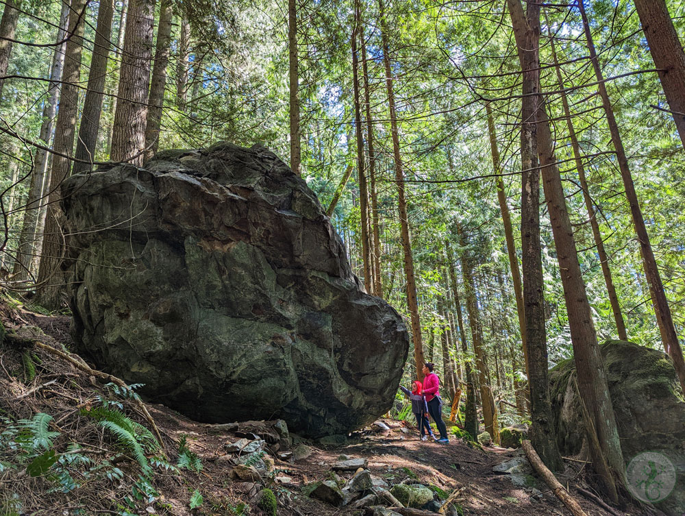 Huge boulder on the hiking trail