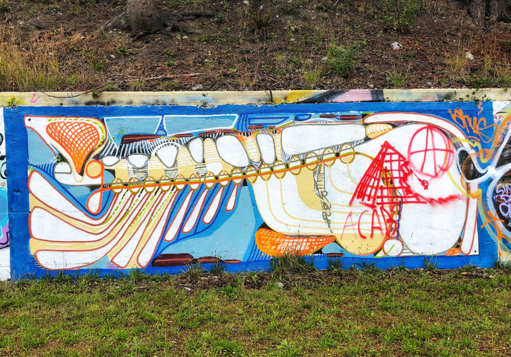 graffiti modern urban street art near Willingdon Beach Park in Powell River, British Columbia whale fish