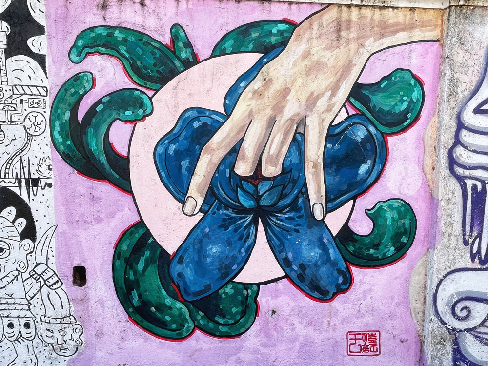 Graffiti Street Art Murals Urban San José Costa Rica City of Colour - orchid