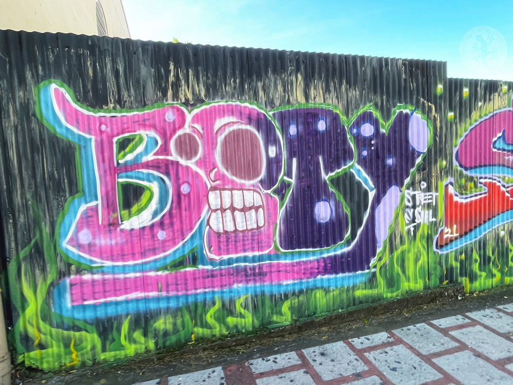 Graffiti Street Art Murals Urban San José Costa Rica City of Colour - bety