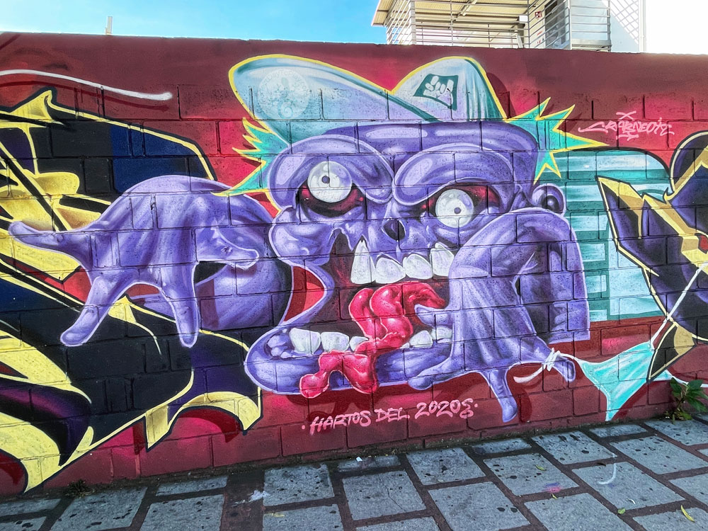 Graffiti Street Art Murals Urban San José Costa Rica City of Colour - purple brain