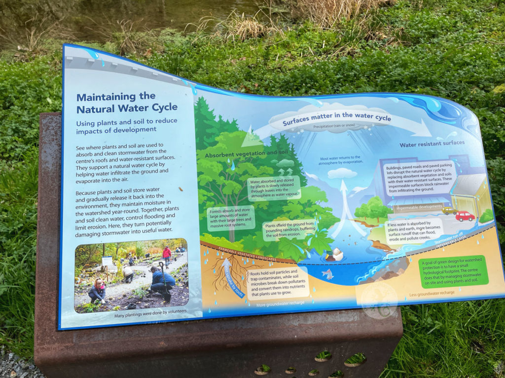 Maintaining the natural water cycle information poster