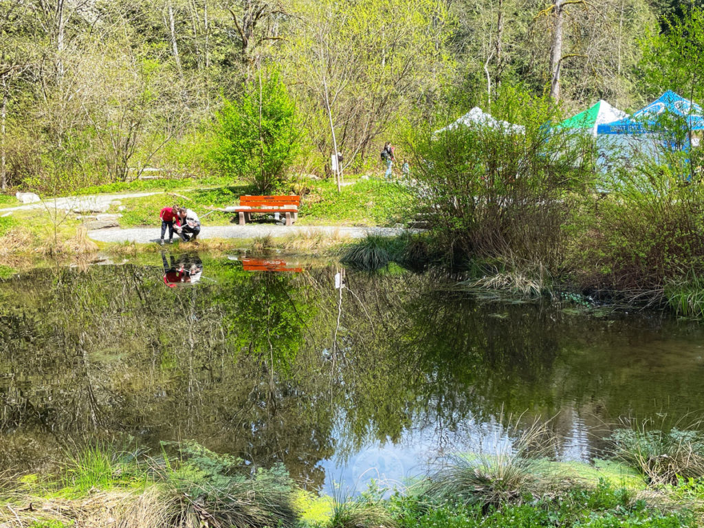 fishing pond at Kanaka Creek Regional Park
